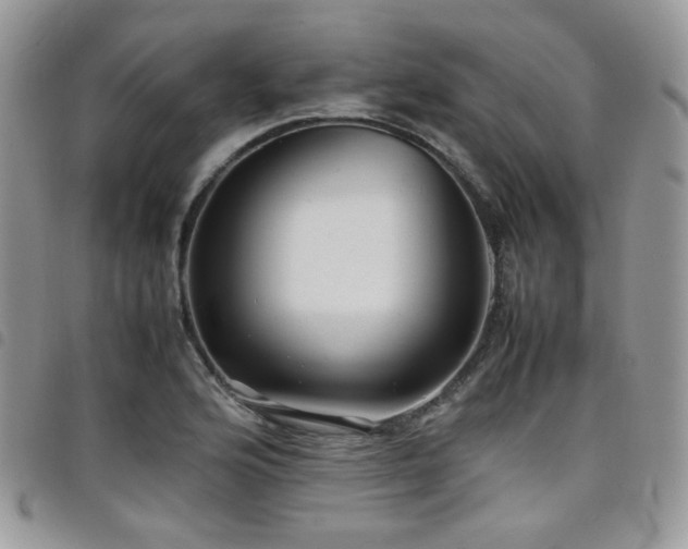 X0000098221176200804241337