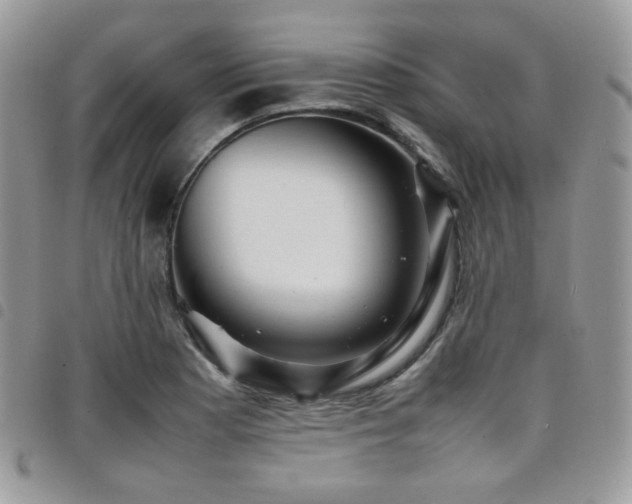 X0000098221177200804241337