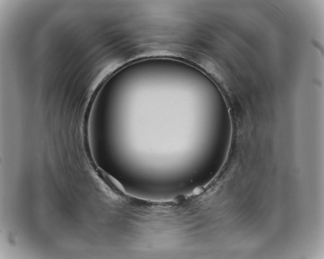 X0000098221181200804241337