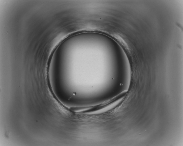 X0000098221183200804241337