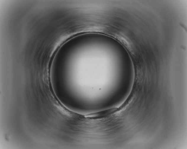 X0000098221184200804241337