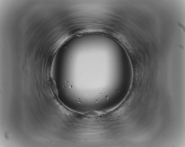X0000098221185200804241337