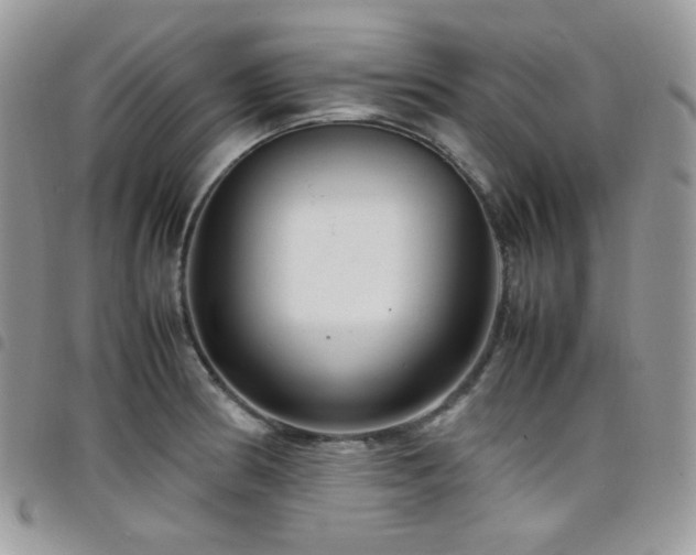 X0000098221186200804241337