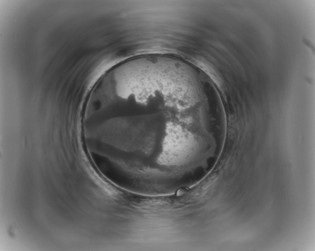 X0000098221187200804241337