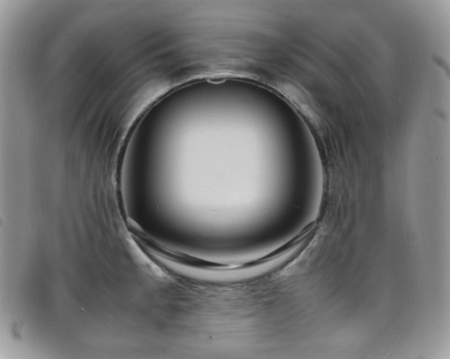X0000098221189200804241337