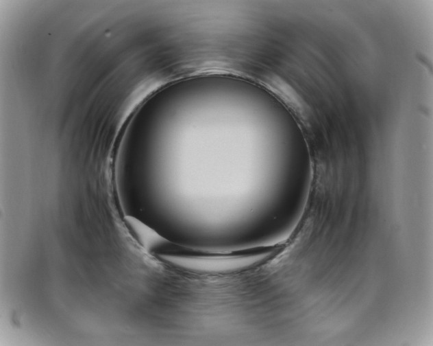 X0000098221190200804241337