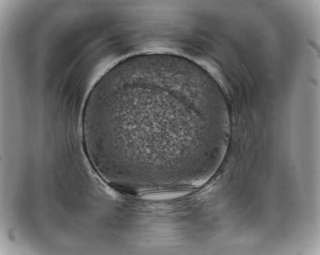 X0000098221191200804241337