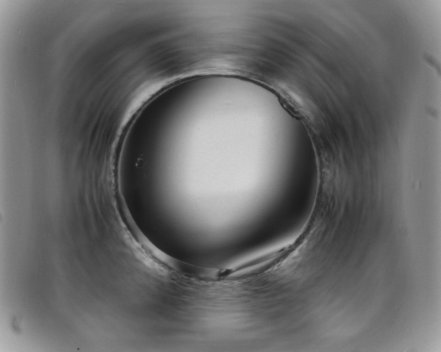 X0000098221192200804241337