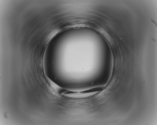 X0000098221193200804241337