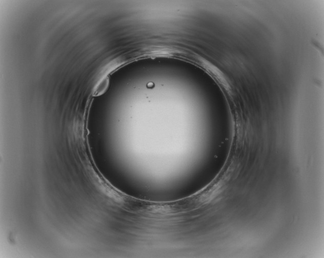 X0000098221194200804241337