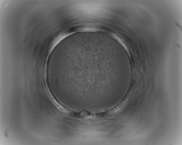 X0000098221195200804241337