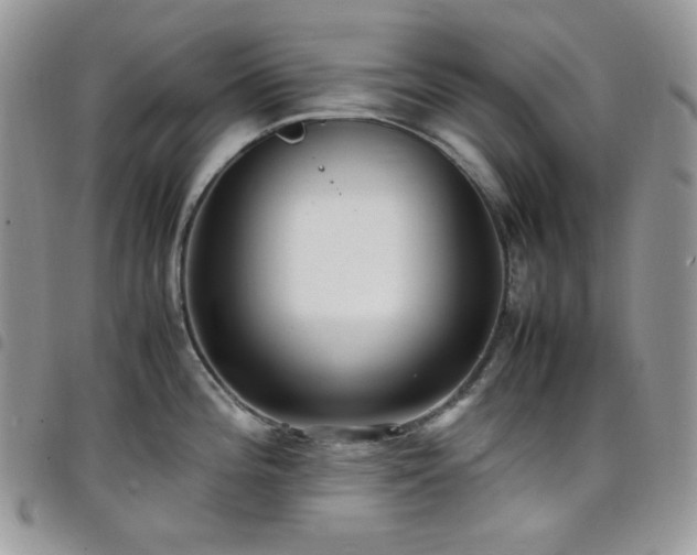X0000098221196200804241337