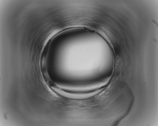 X0000098221197200804241337