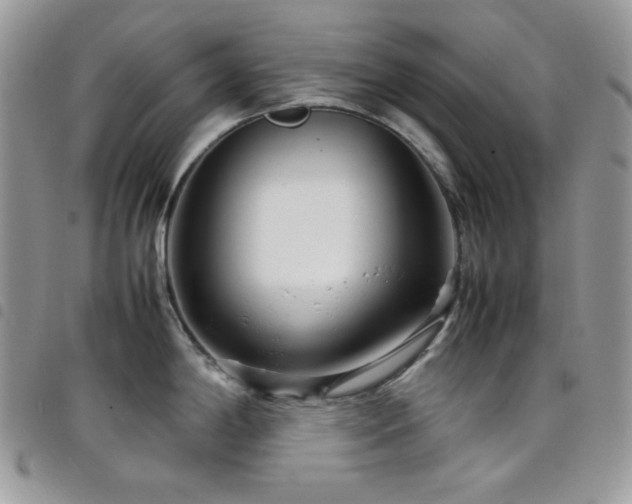 X0000098221198200804241337