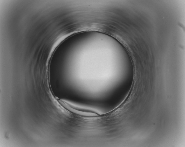 X0000098221200200804241337