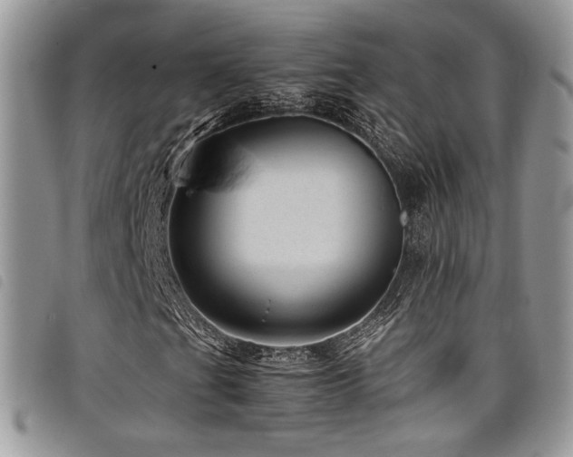 X0000098221201200804241336