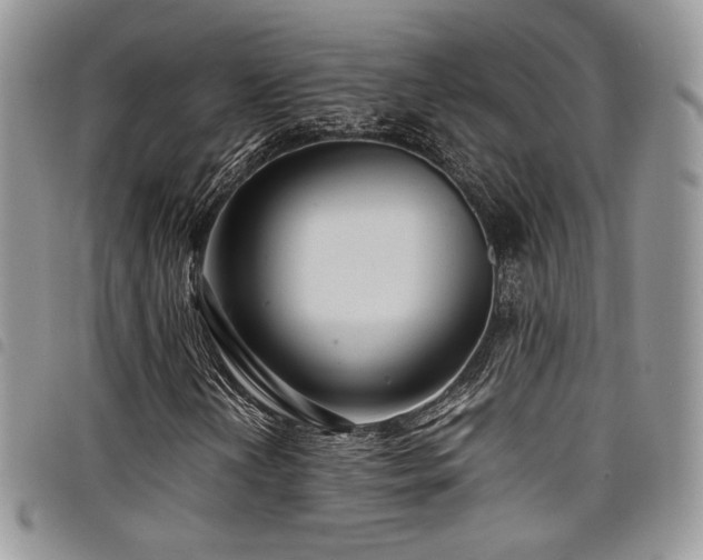 X0000098221202200804241336