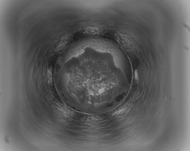 X0000098221203200804241336