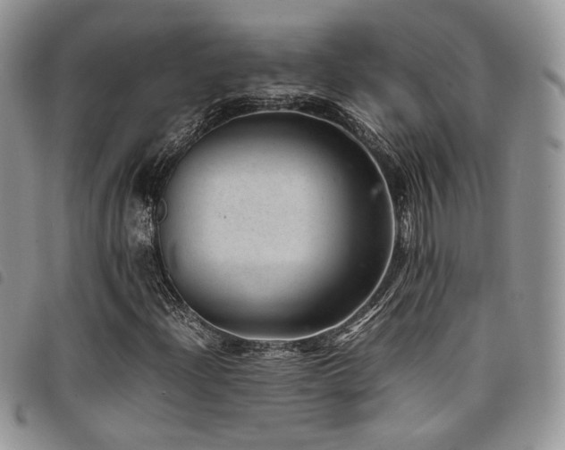 X0000098221204200804241336