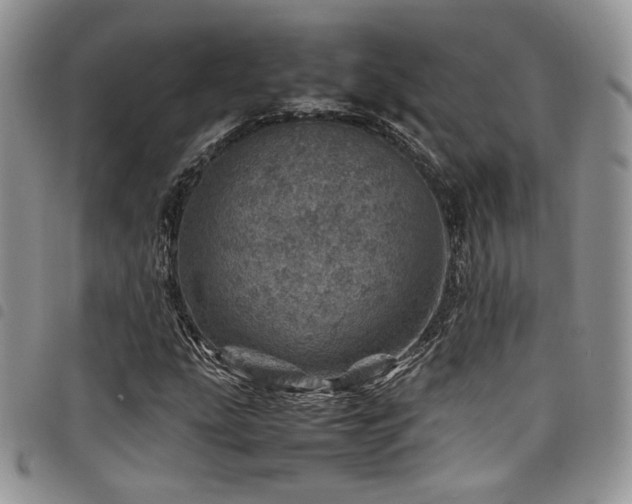 X0000098221207200804241336