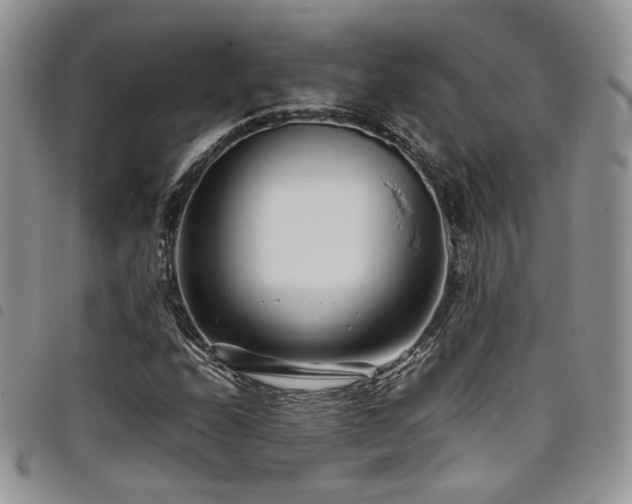 X0000098221208200804241336