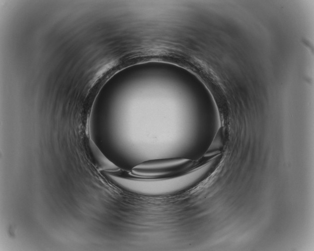 X0000098221210200804241336