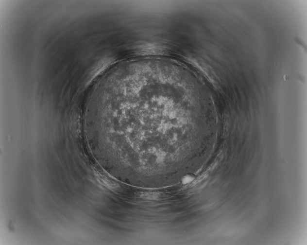 X0000098221211200804241336