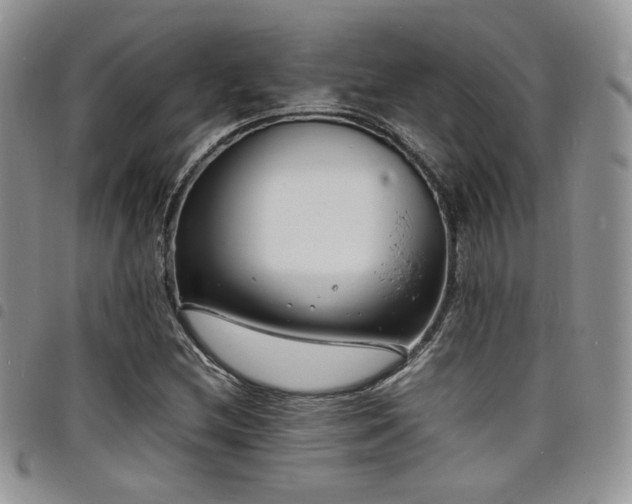 X0000098221212200804241336