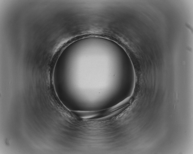 X0000098221214200804241336