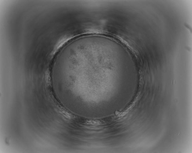 X0000098221215200804241336