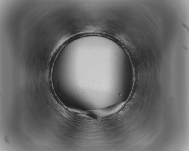 X0000098221216200804241336