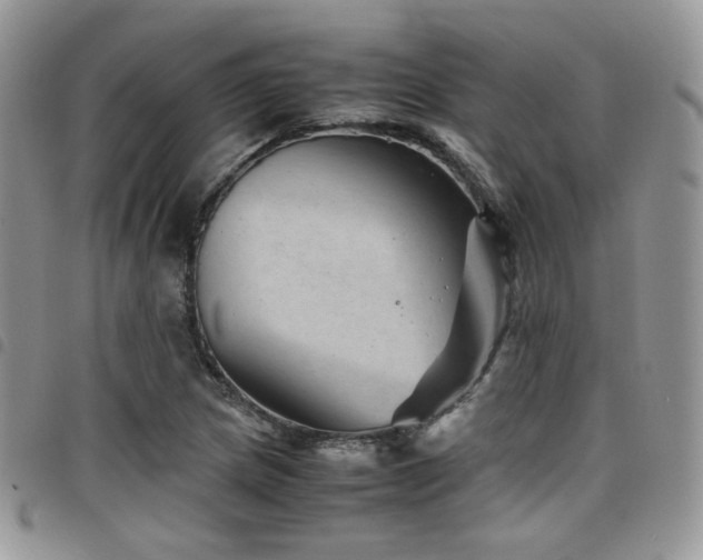 X0000098221217200804241336