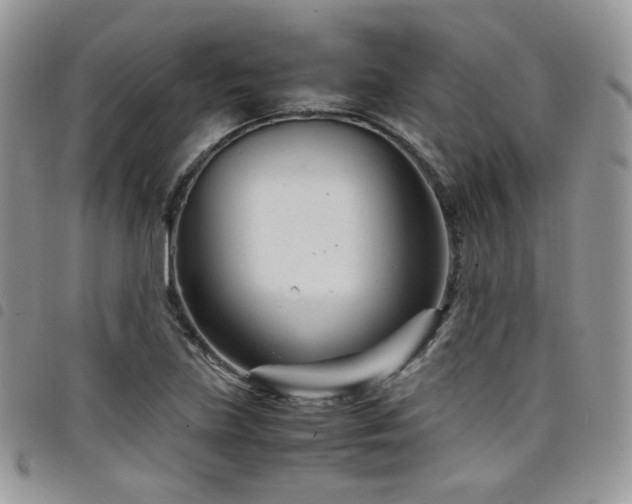 X0000098221219200804241336