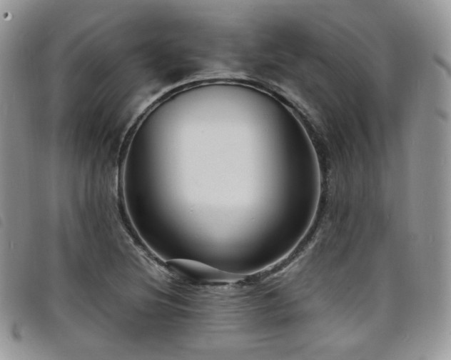 X0000098221220200804241336