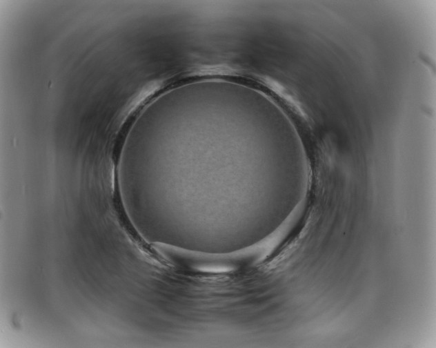 X0000098221221200804241336