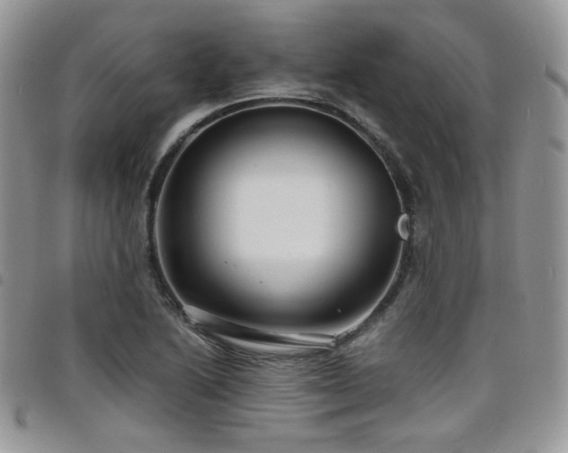 X0000098221222200804241336