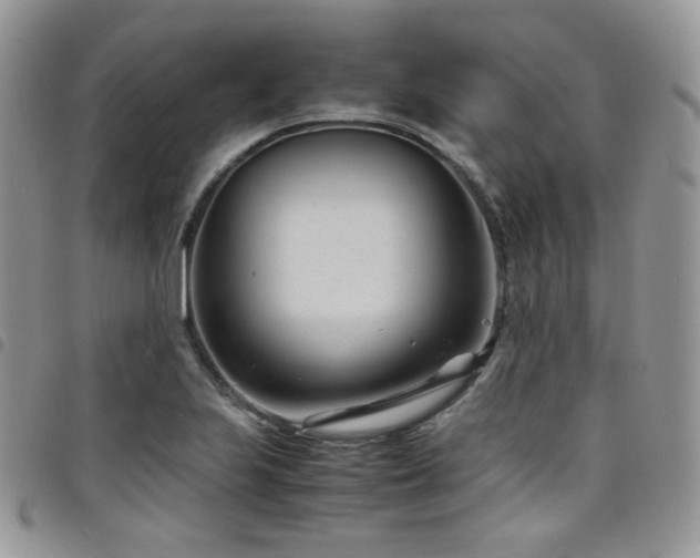 X0000098221223200804241336