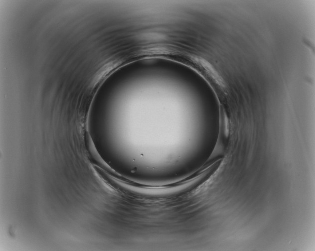 X0000098221225200804241336