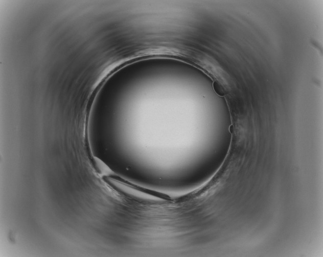 X0000098221228200804241336