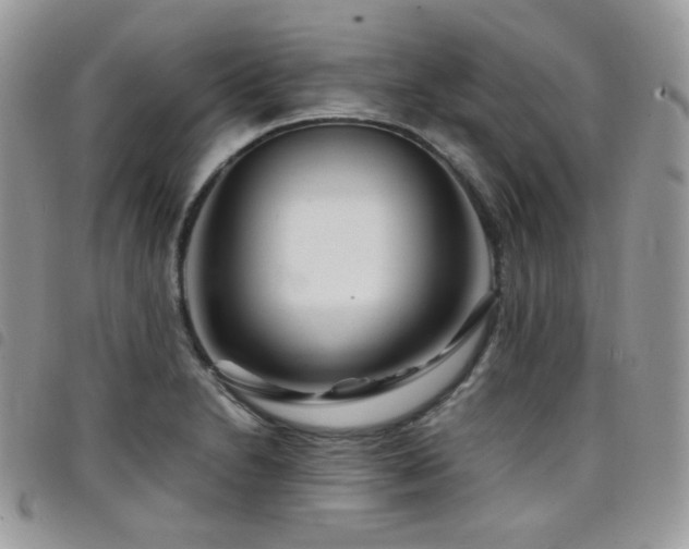 X0000098221230200804241336