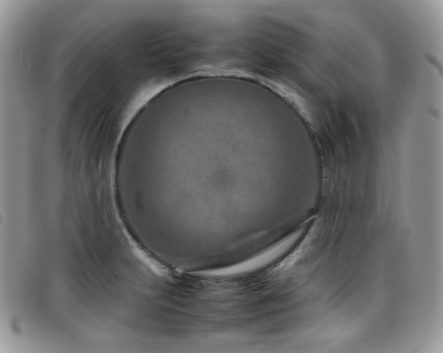 X0000098221231200804241336