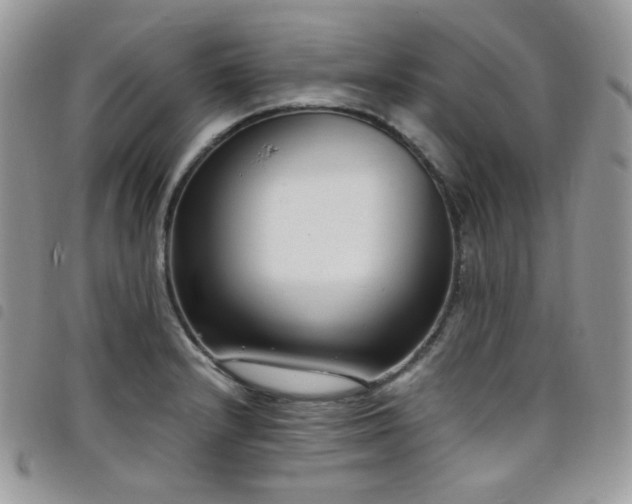 X0000098221232200804241336