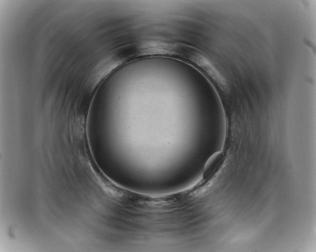 X0000098221233200804241336