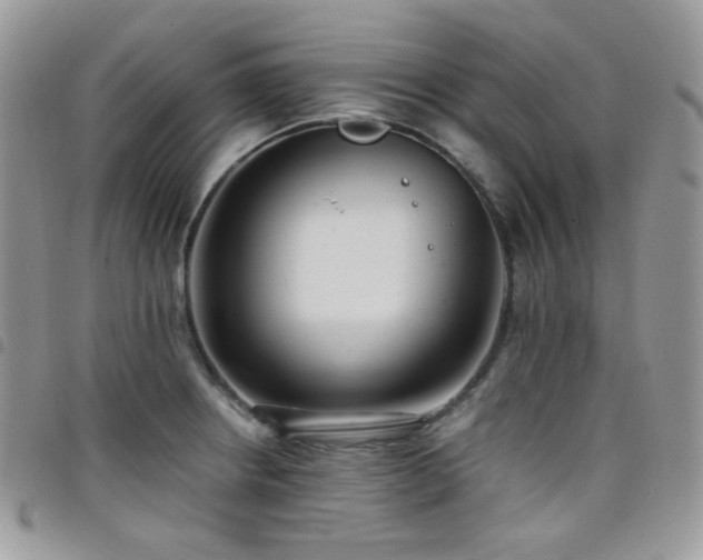 X0000098221234200804241336