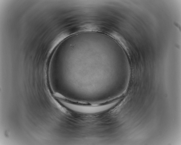 X0000098221235200804241336