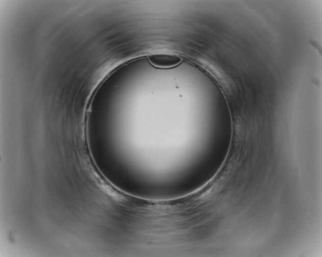 X0000098221236200804241336