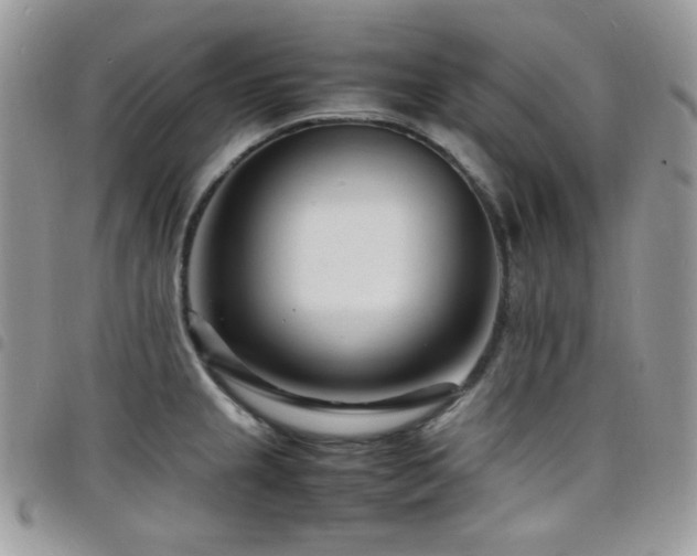 X0000098221237200804241337