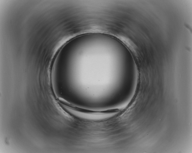 X0000098221238200804241337