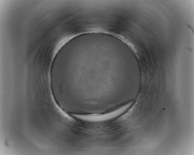 X0000098221239200804241337