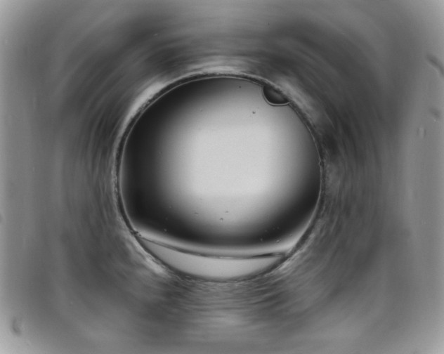 X0000098221240200804241337